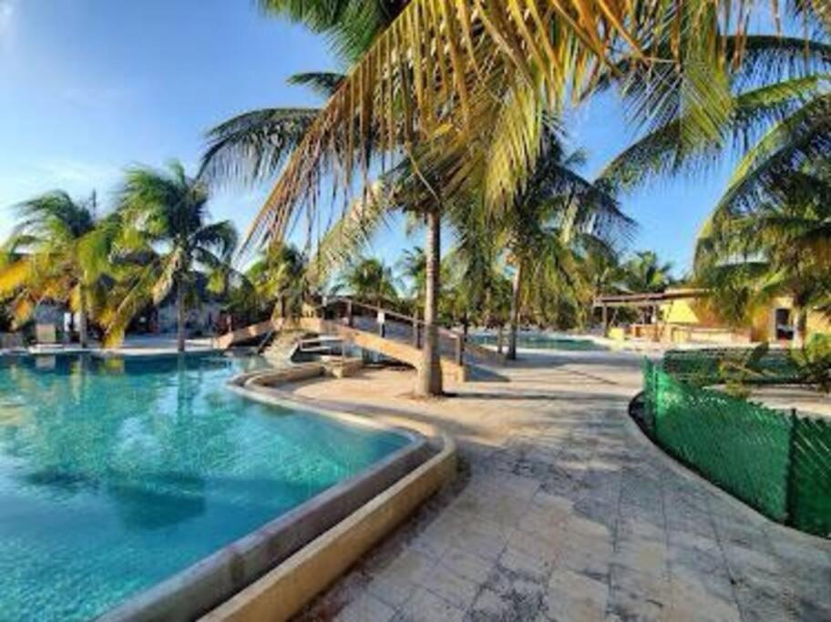 Beachfront Apartment With Swimming Pool. One Bedroom Celestun Eksteriør billede