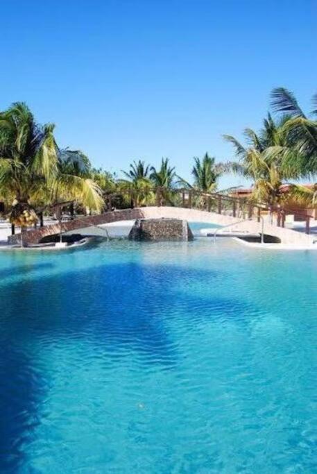 Beachfront Apartment With Swimming Pool. One Bedroom Celestun Eksteriør billede