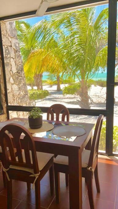 Beachfront Apartment With Swimming Pool. One Bedroom Celestun Eksteriør billede