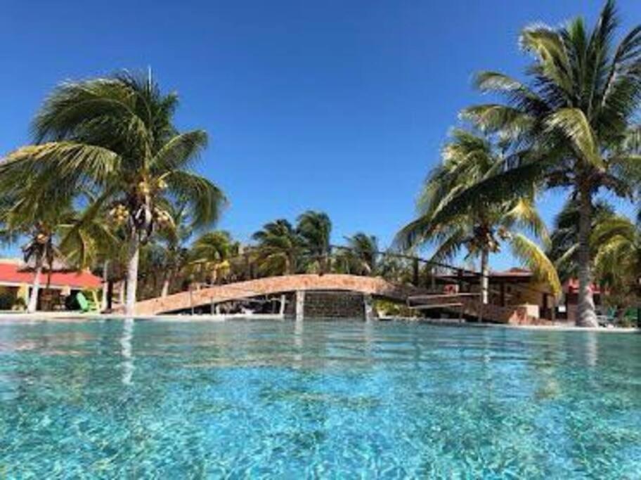 Beachfront Apartment With Swimming Pool. One Bedroom Celestun Eksteriør billede