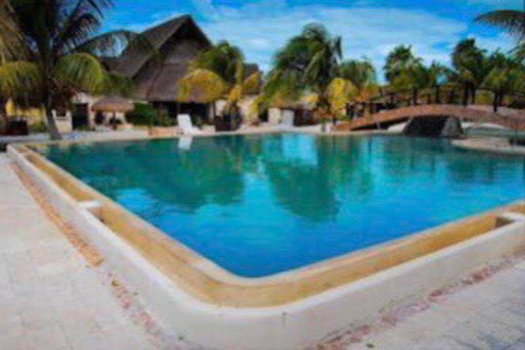 Beachfront Apartment With Swimming Pool. One Bedroom Celestun Eksteriør billede